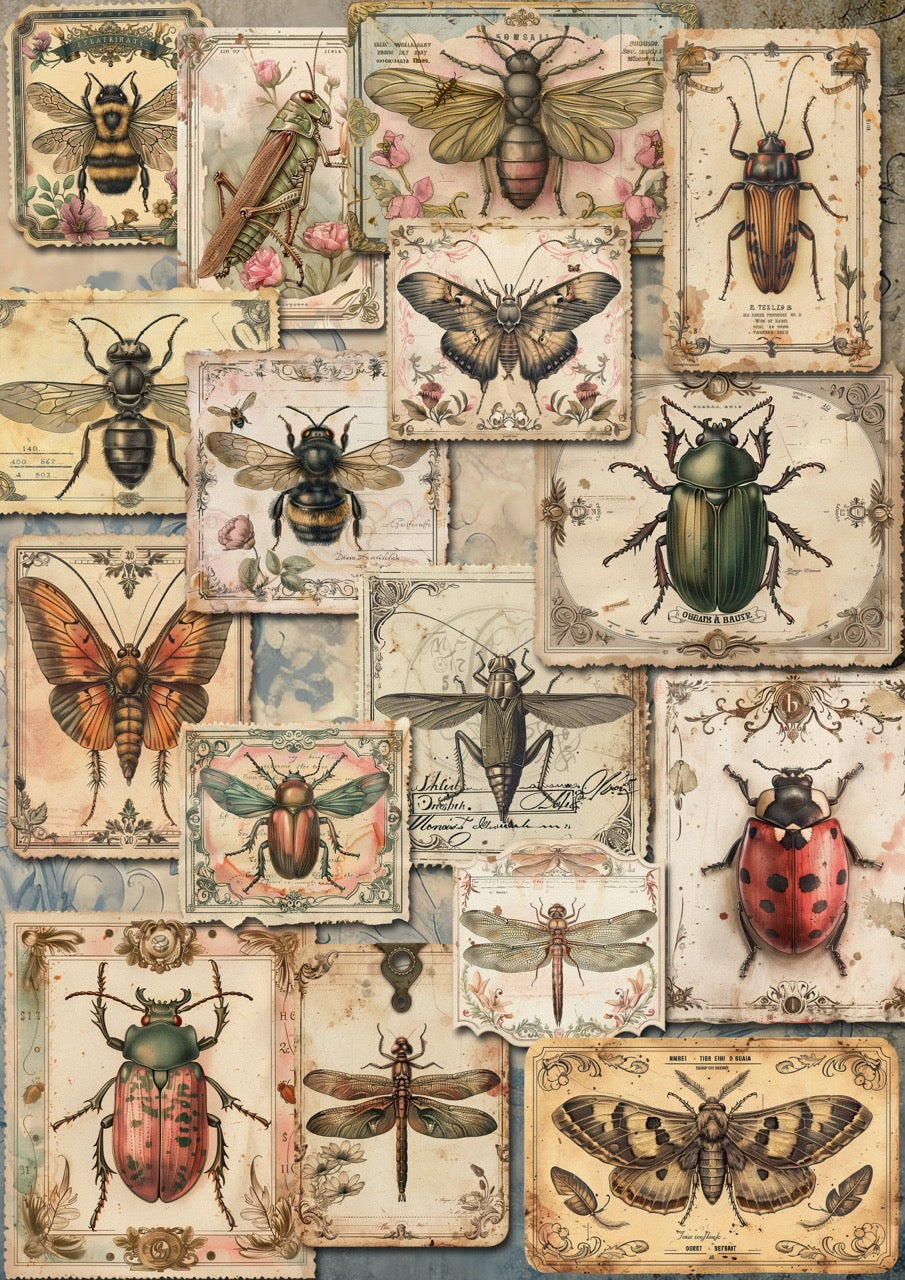 Insects Iveta Ziendina Rice Paper Decoupage Queen A4 A3