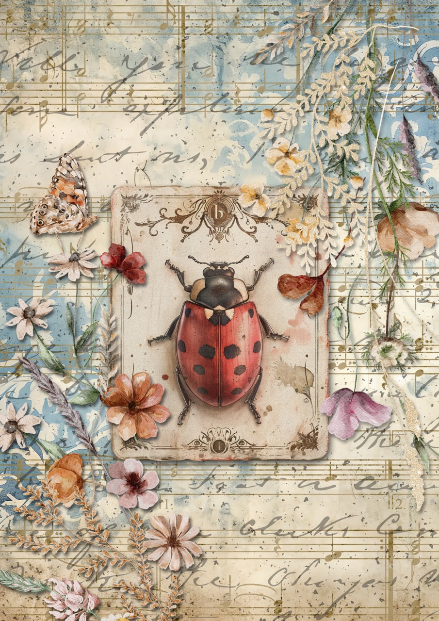 Ladybird Iveta Ziendina Rice Paper Decoupage Queen A4