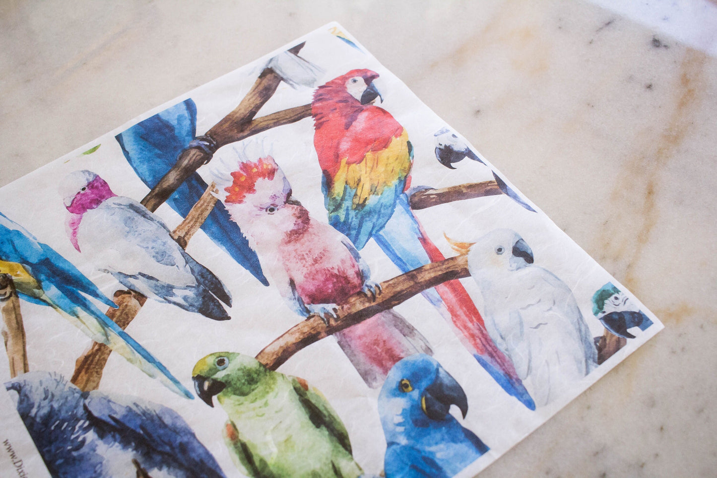 Rice Paper Decoupage | Birds | Dixie Belle | 3 In Pack