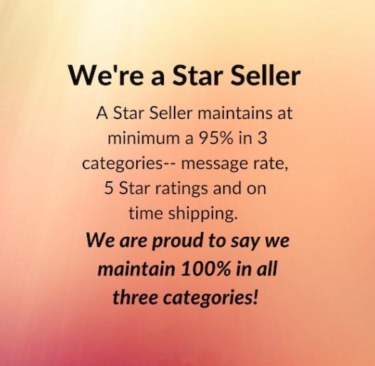 Wax Sealer | Dixie Belle Paint | Terra Clay Paint | Terra Wax | 12oz