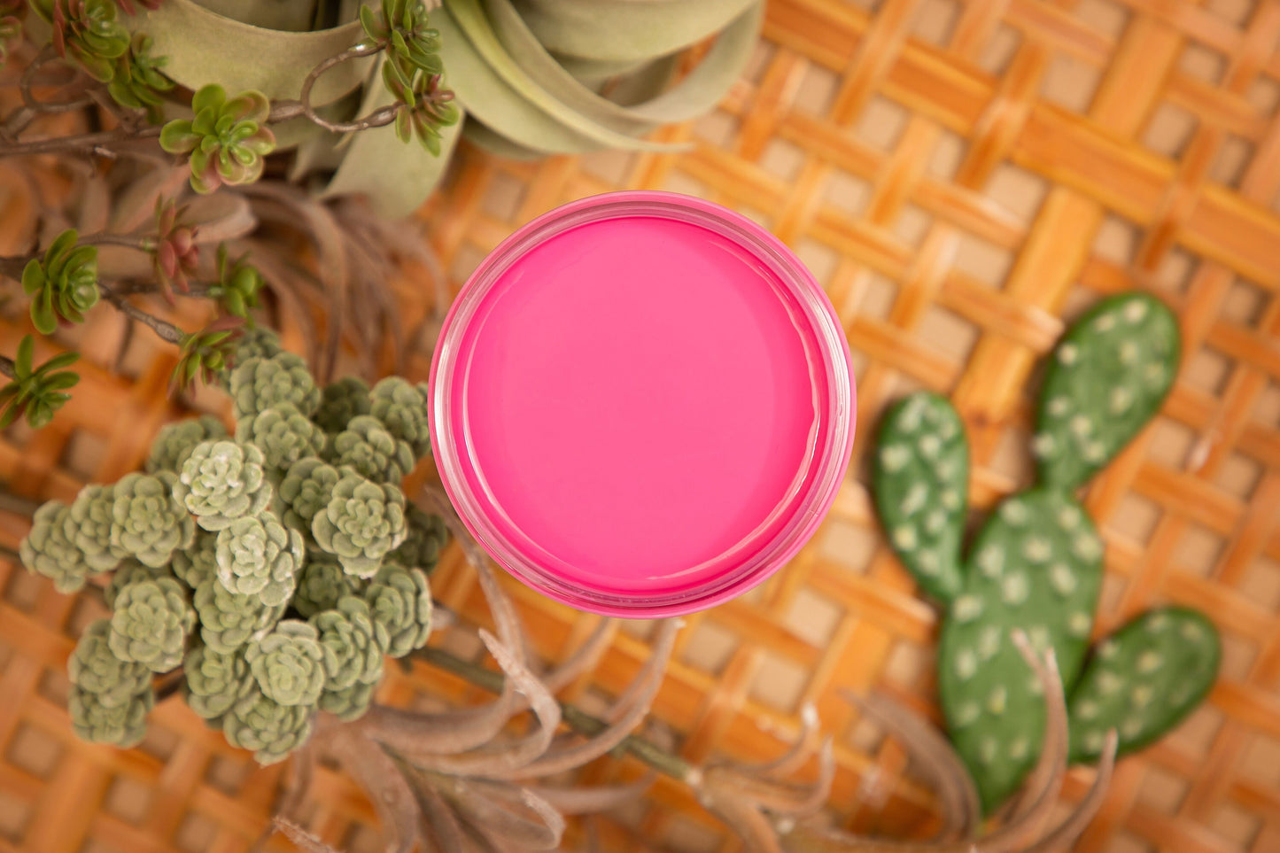 Prickly Pear 16oz | Silk All-In-One Paint | Dixie Belle Paint Company | 16oz