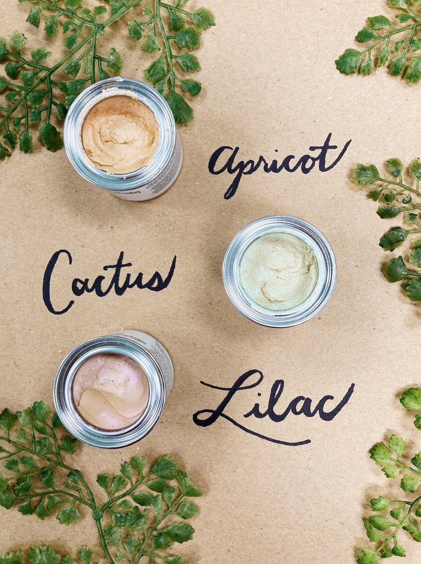 Cactus | Chameleon Wax | Dixie Belle Paint Company
