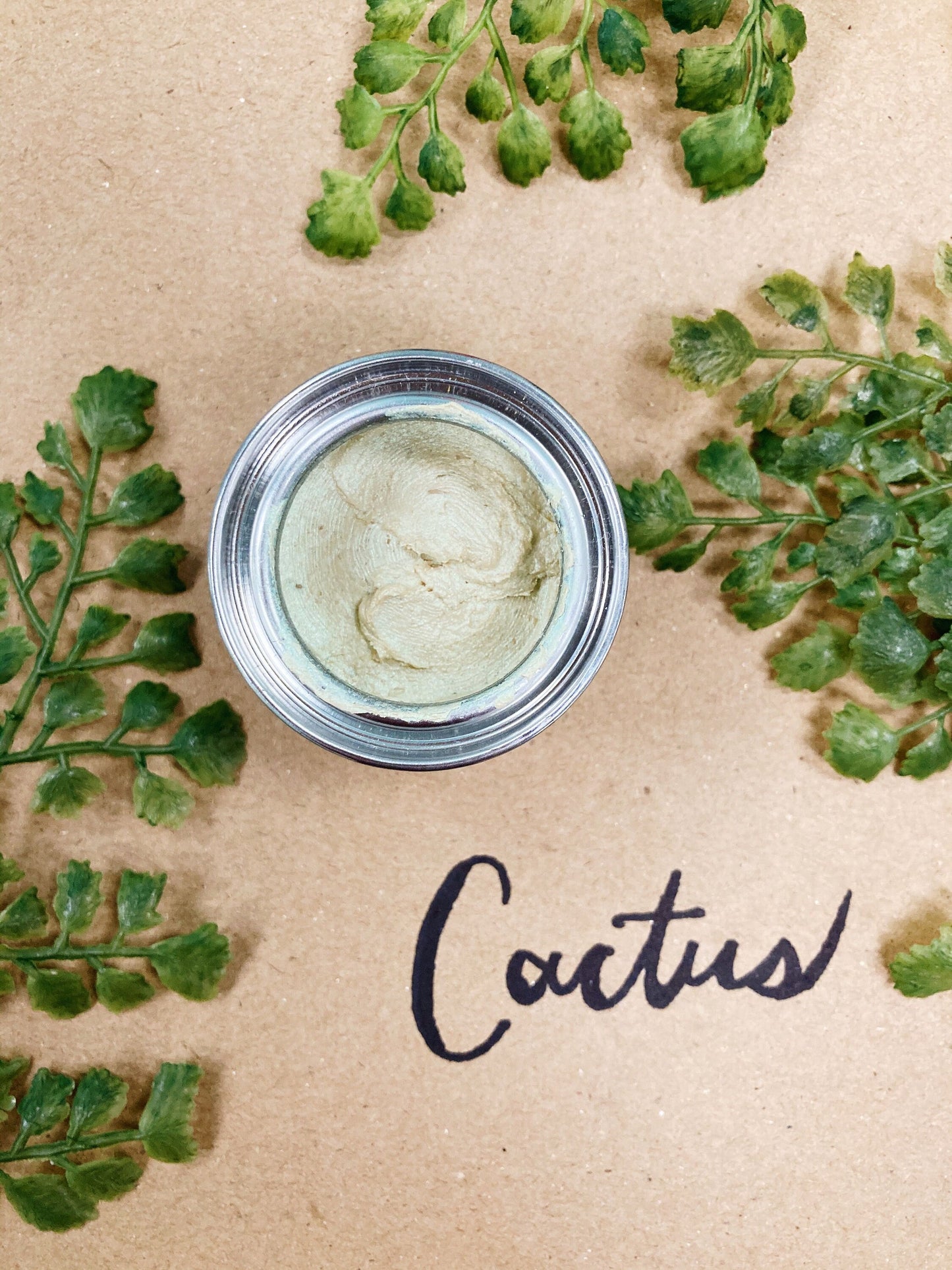 Cactus | Chameleon Wax | Dixie Belle Paint Company