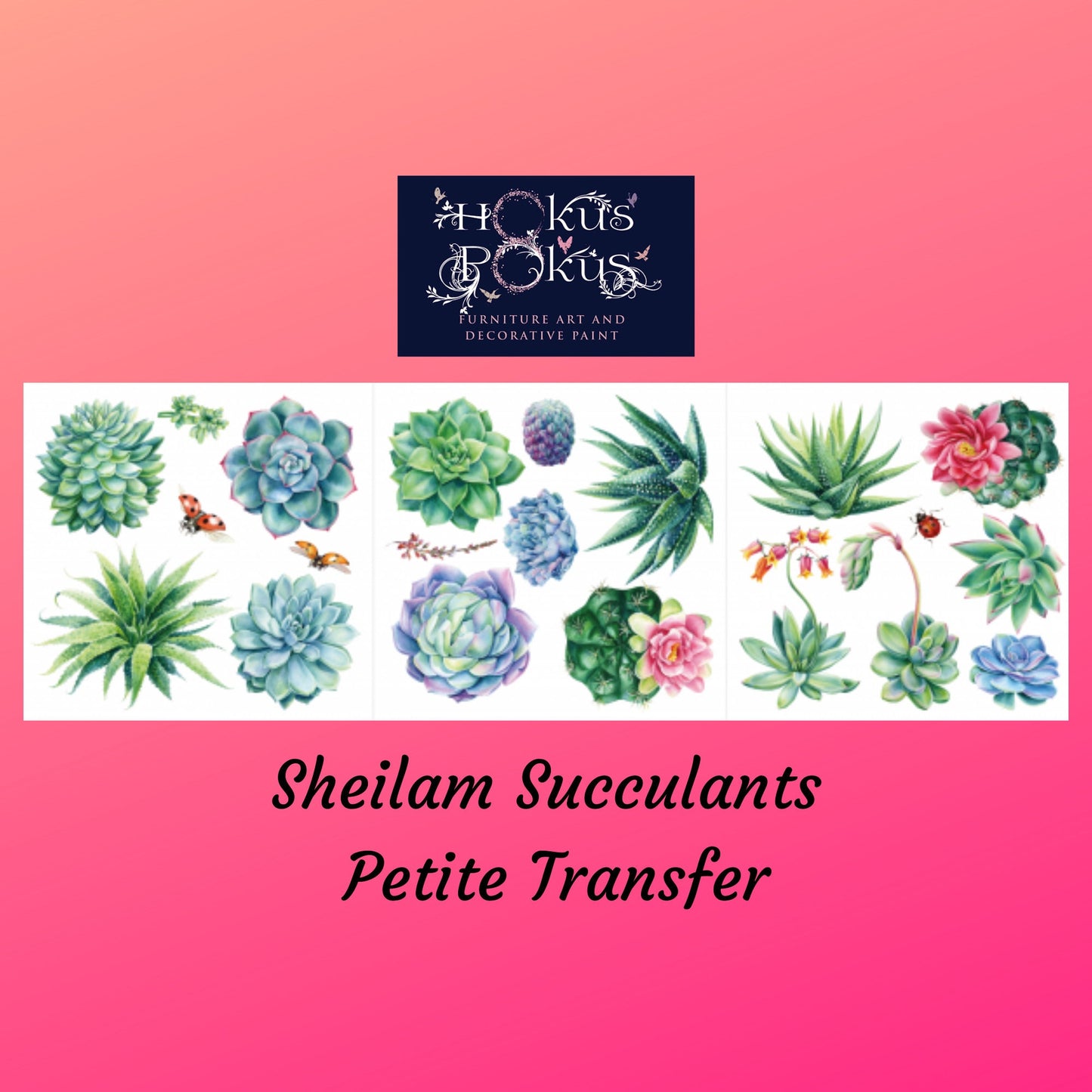 Sheilam Succulants | Rub On Furniture Transfers | Hokus Pokus | Furniture Decals | Petite Transfer | 3 Sheets