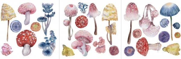 Magic Mushrooms | Rub On Furniture Transfers | Hokus Pokus | Furniture Decals | Petite Transfer | 3 Sheets