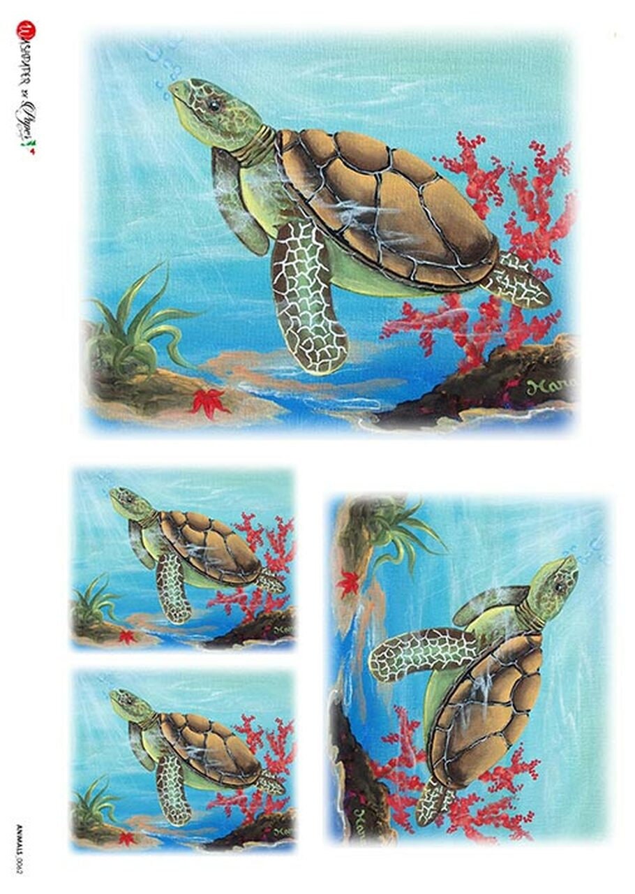Sea Turtle- Animal 0062 | Paper Designs | Rice Paper Decoupage | 2 Sizes