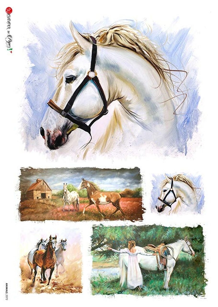 Horse Collage- Animal 0072 | Rice Paper Decoupage | Paper Designs | 2 Sizes