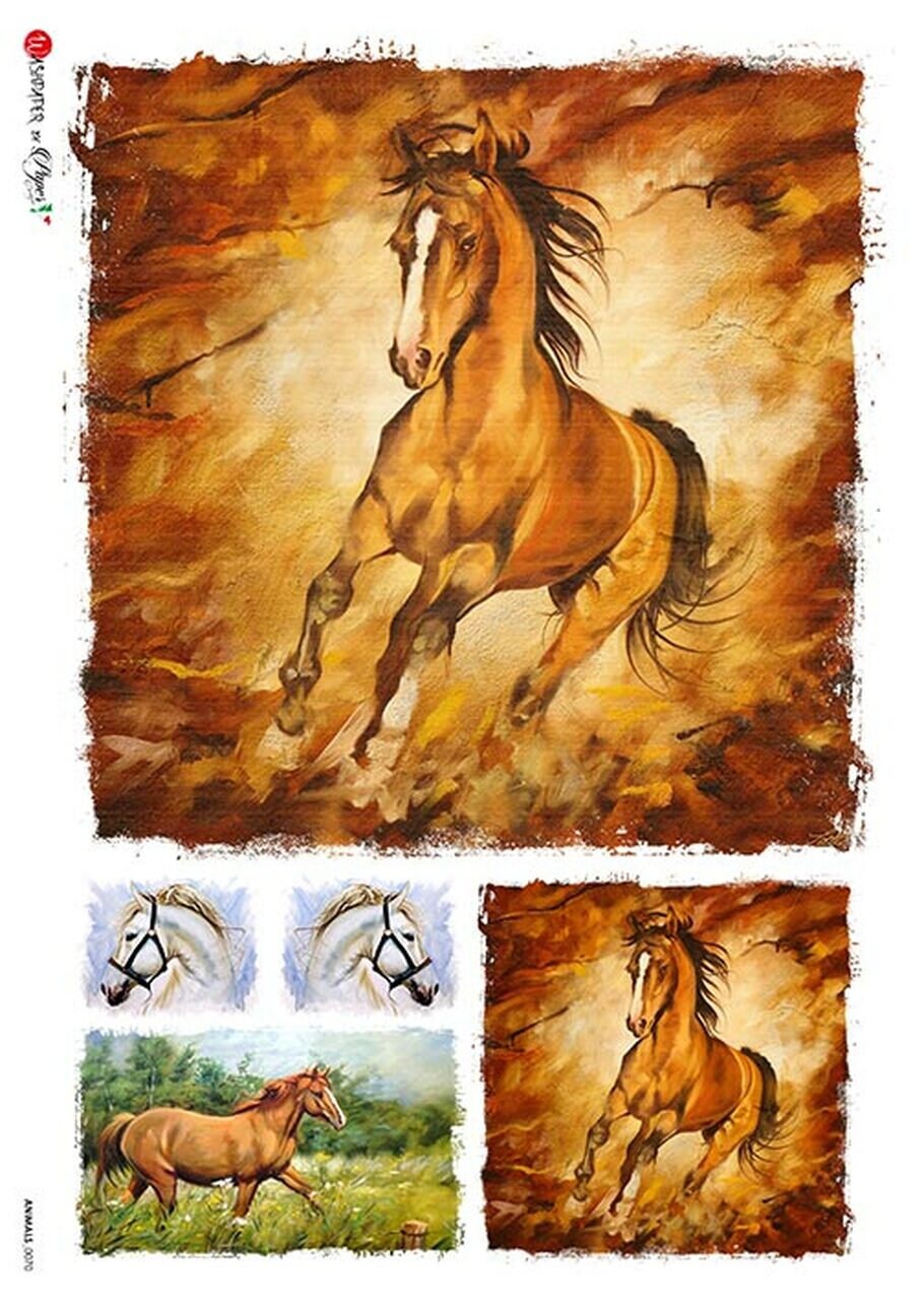 Horse Collage- Animal 0070 | Rice Paper Decoupage | Paper Designs | 2 Sizes