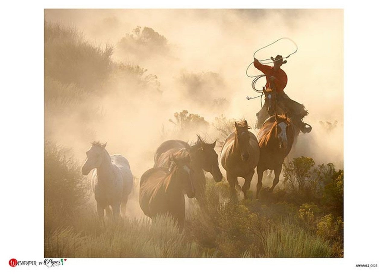 Western Roundup Scene Horse Roper | Rice Paper Decoupage | USPaper Designs 0025 | A4 & A3