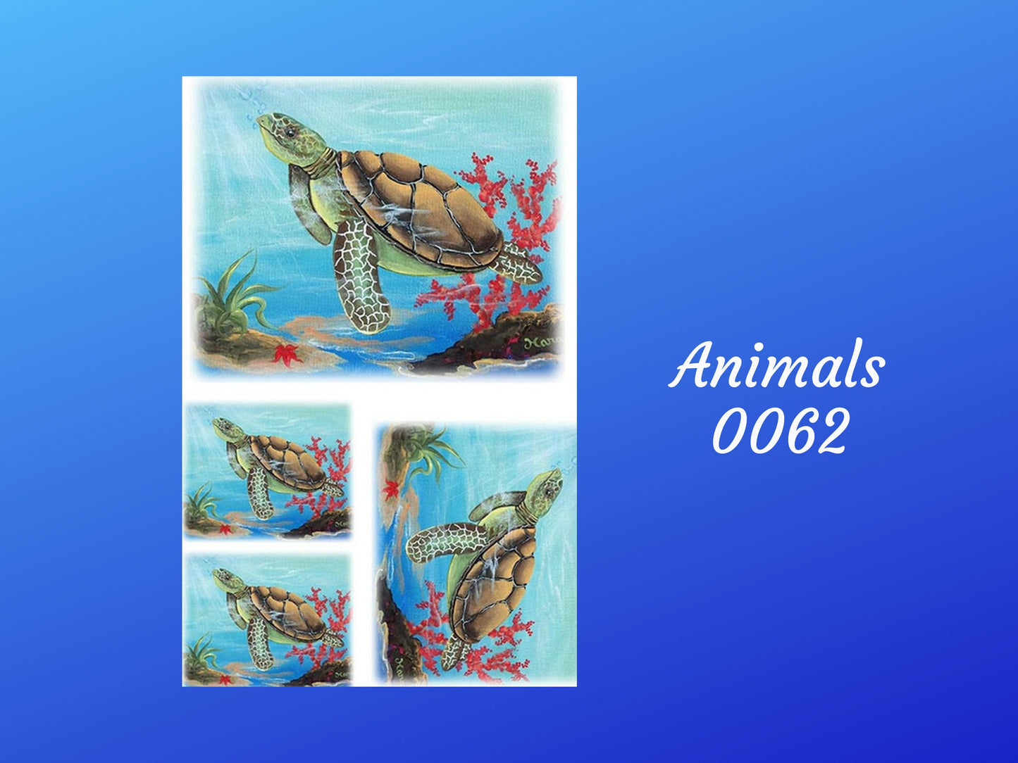 Sea Turtle- Animal 0062 | Paper Designs | Rice Paper Decoupage | 2 Sizes