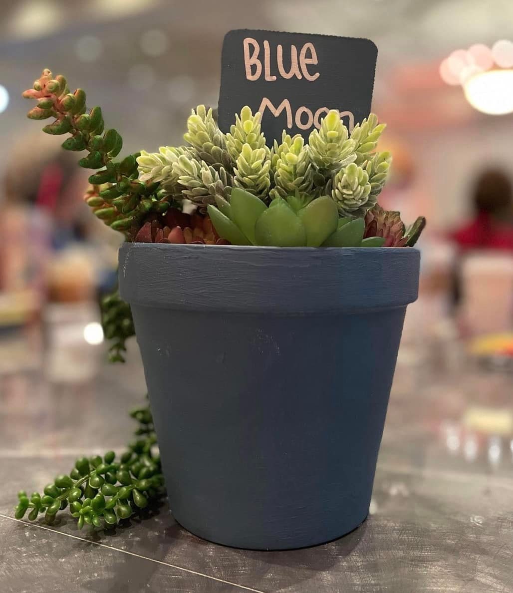 Blue Moon 4oz | Terra Clay Paint | Dixie Belle Paint Company | NEW LOWER PRICE | 4oz