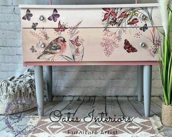 Oiseau Rose | Rub On Furniture Transfers | Hokus Pokus | Furniture Decals | 35 x 23