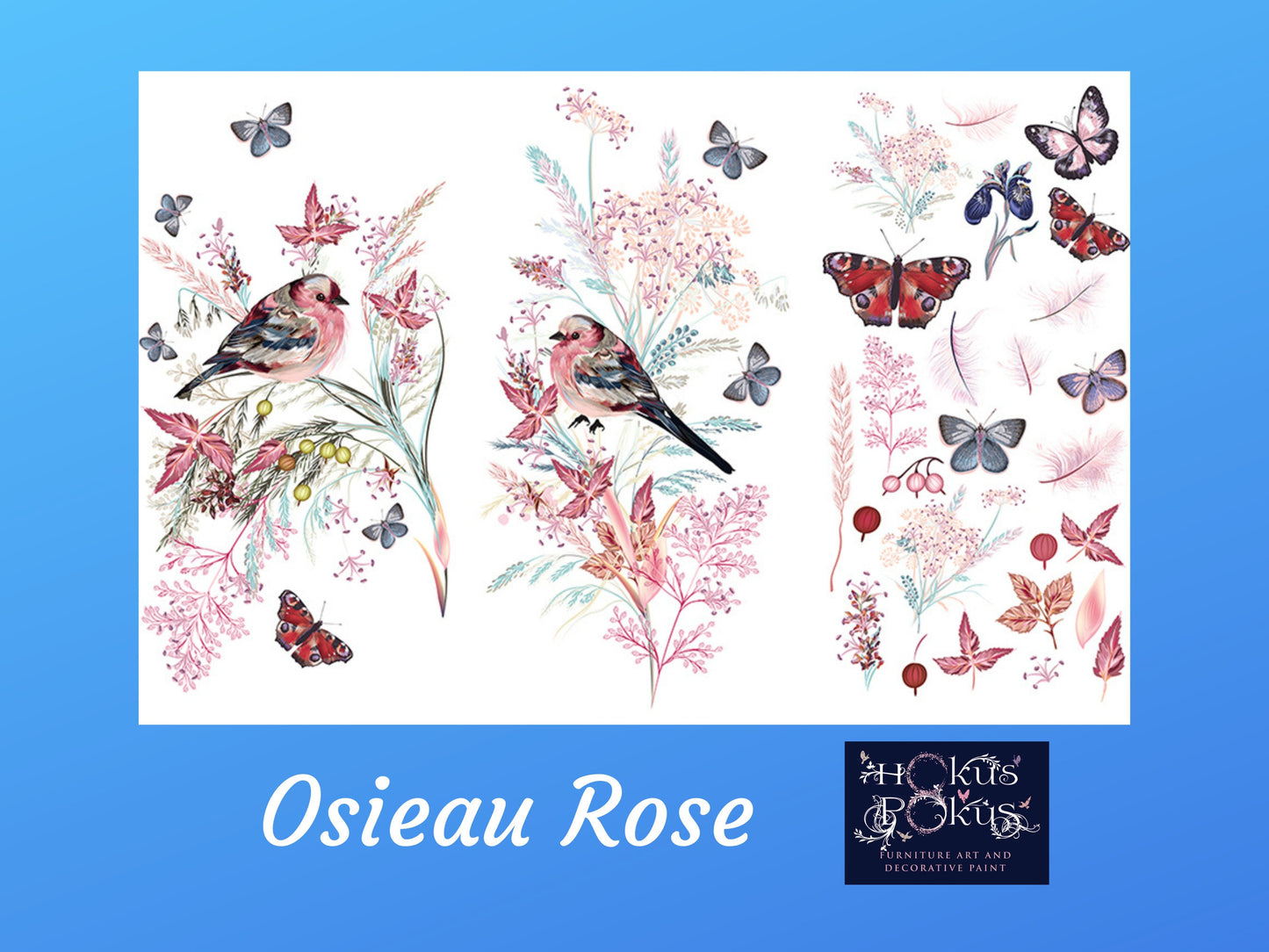 Oiseau Rose | Rub On Furniture Transfers | Hokus Pokus | Furniture Decals | 35 x 23