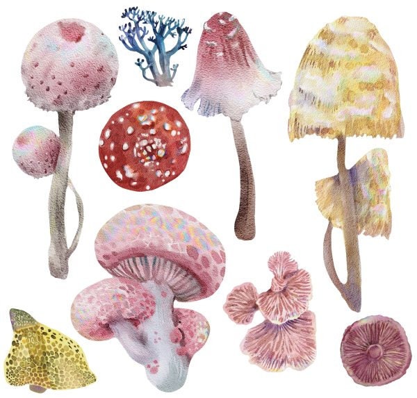 Magic Mushrooms | Rub On Furniture Transfers | Hokus Pokus | Furniture Decals | Petite Transfer | 3 Sheets