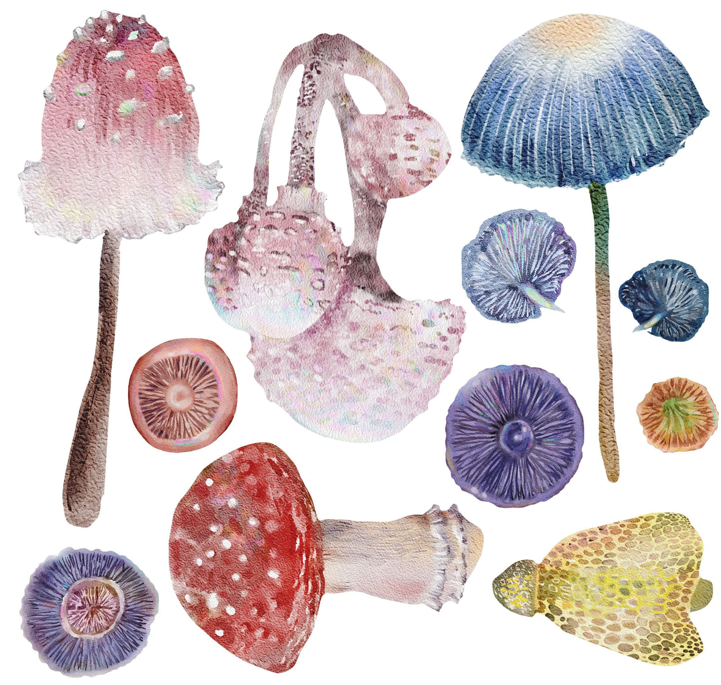 Magic Mushrooms | Rub On Furniture Transfers | Hokus Pokus | Furniture Decals | Petite Transfer | 3 Sheets