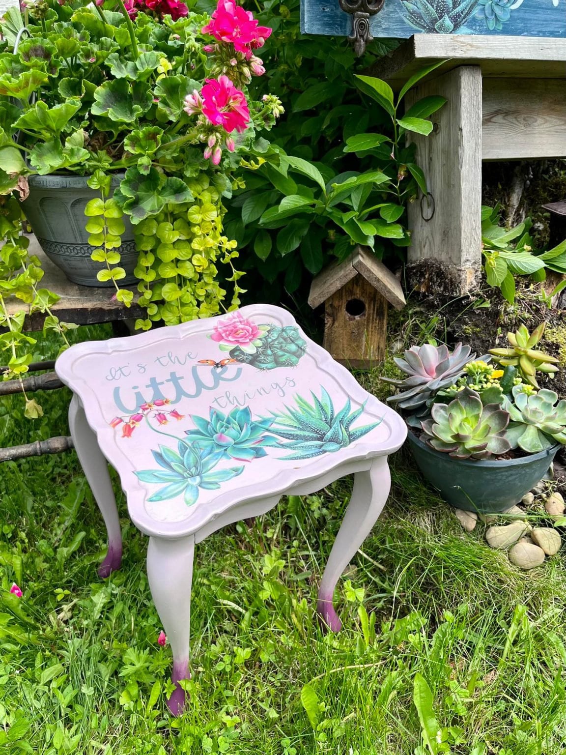 Sheilam Succulants | Rub On Furniture Transfers | Hokus Pokus | Furniture Decals | Petite Transfer | 3 Sheets