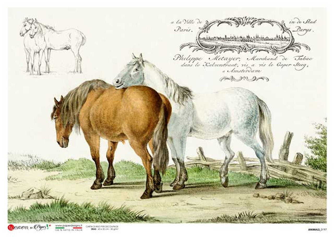 Horses Grazing Animals | Rice Paper Decoupage | Paper Designs 0197 | A4