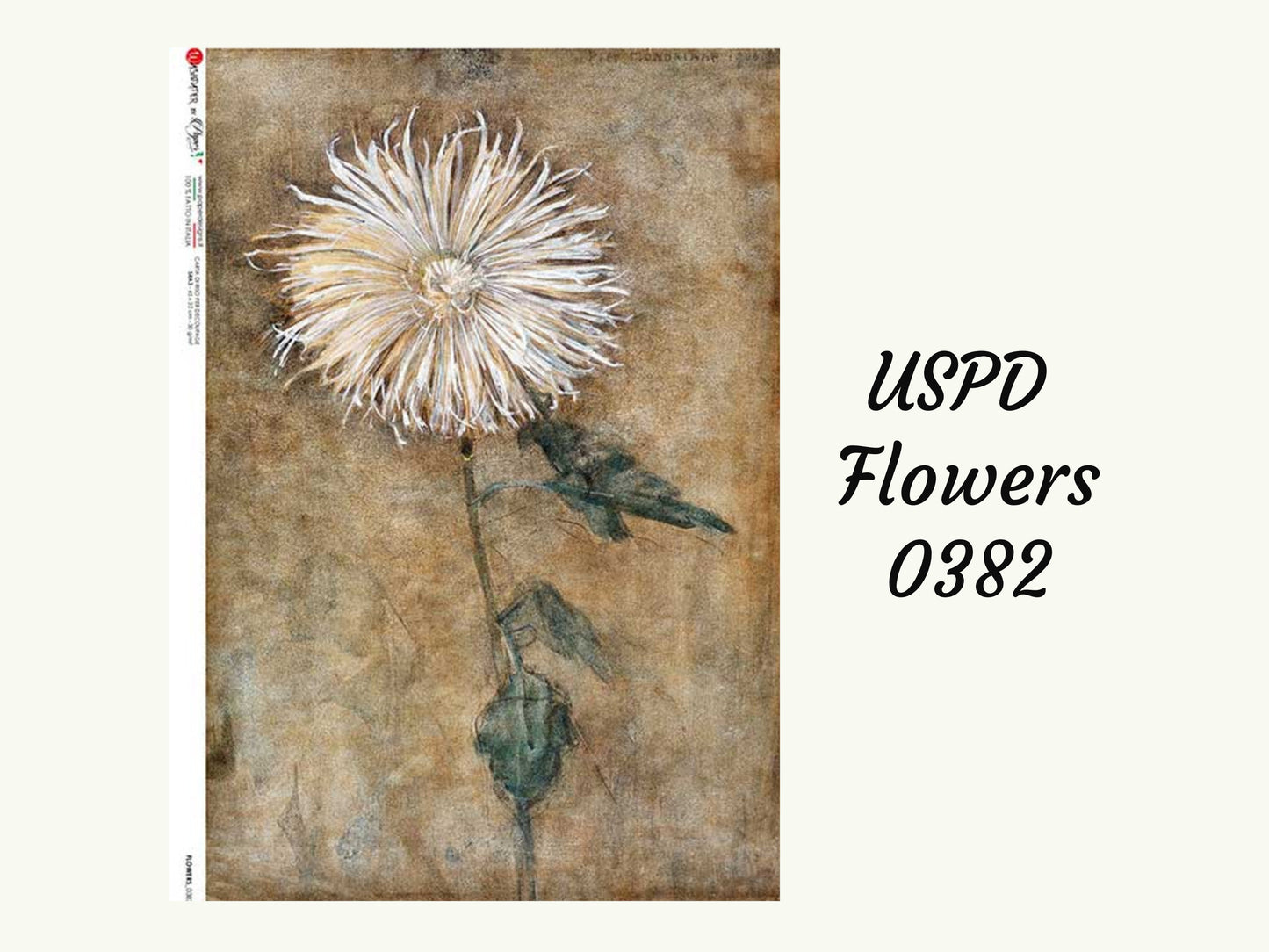 Dandelion Flowers 0382 | Rice Paper Decoupage | US Paper Designs |A4