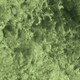 Moss Effect 2 Colors | Dark Green or Light Green | Pentart | 30ml | 2 Colors