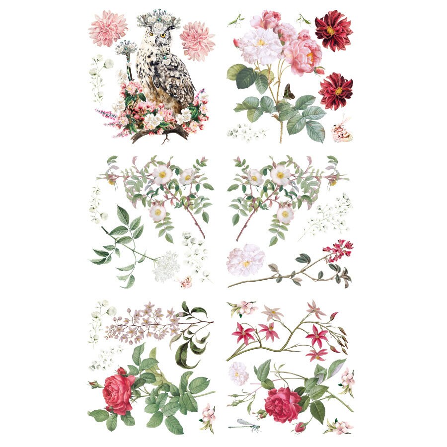The Queen | 6 Images | Rub On Furniture Transfers | Hokus Pokus | Furniture Decals | 36" x 24"