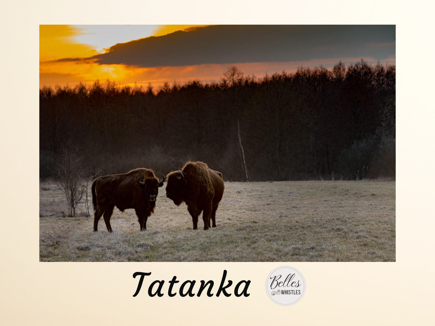Tatanka | Rice Paper Decoupage | Dixie Belle Paint Company | A1 | 23.83" x 33.3"