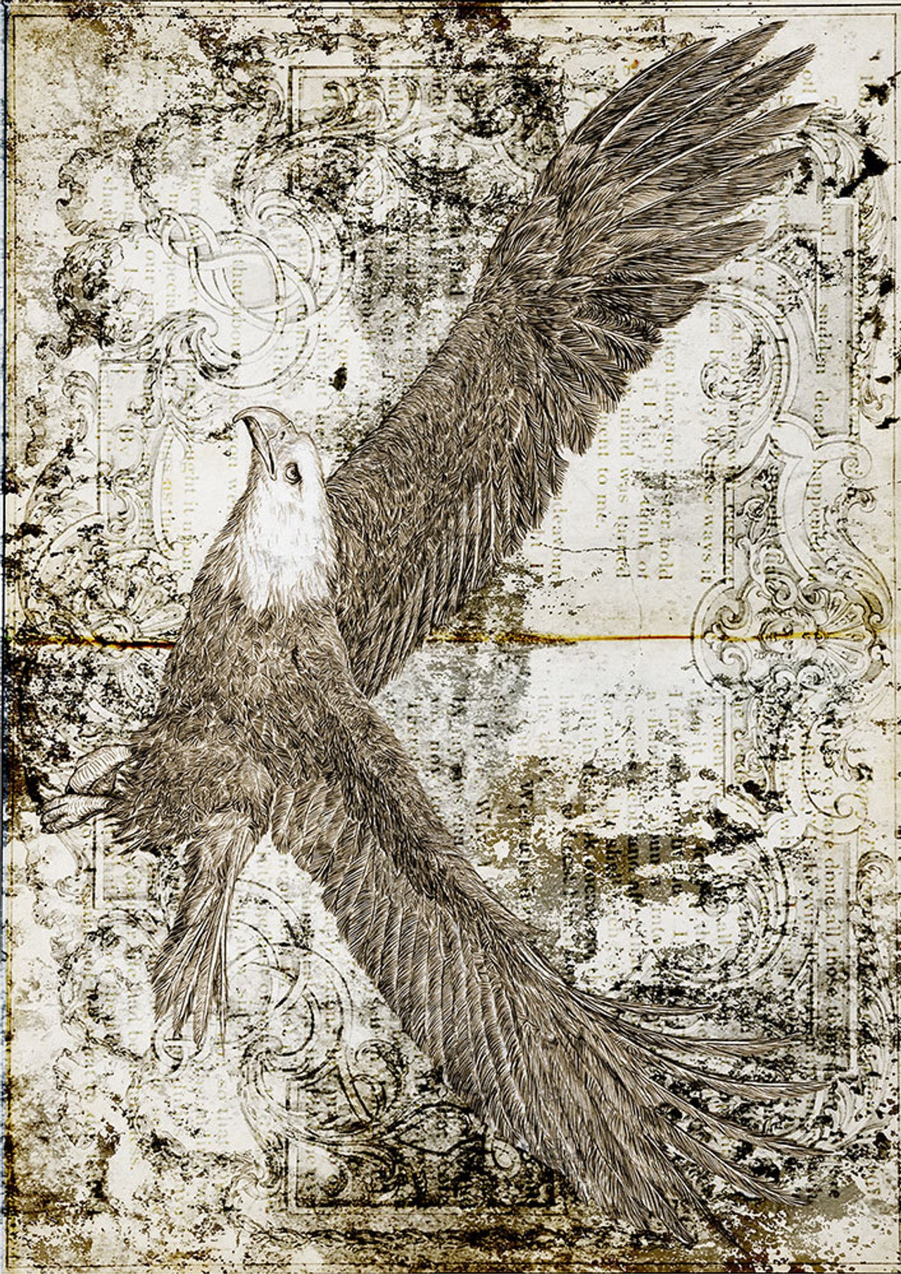 Freedom Eagle | Rice Paper Decoupage | US Paper Designs 0025 | Furniture Decoupage | A2 & A1