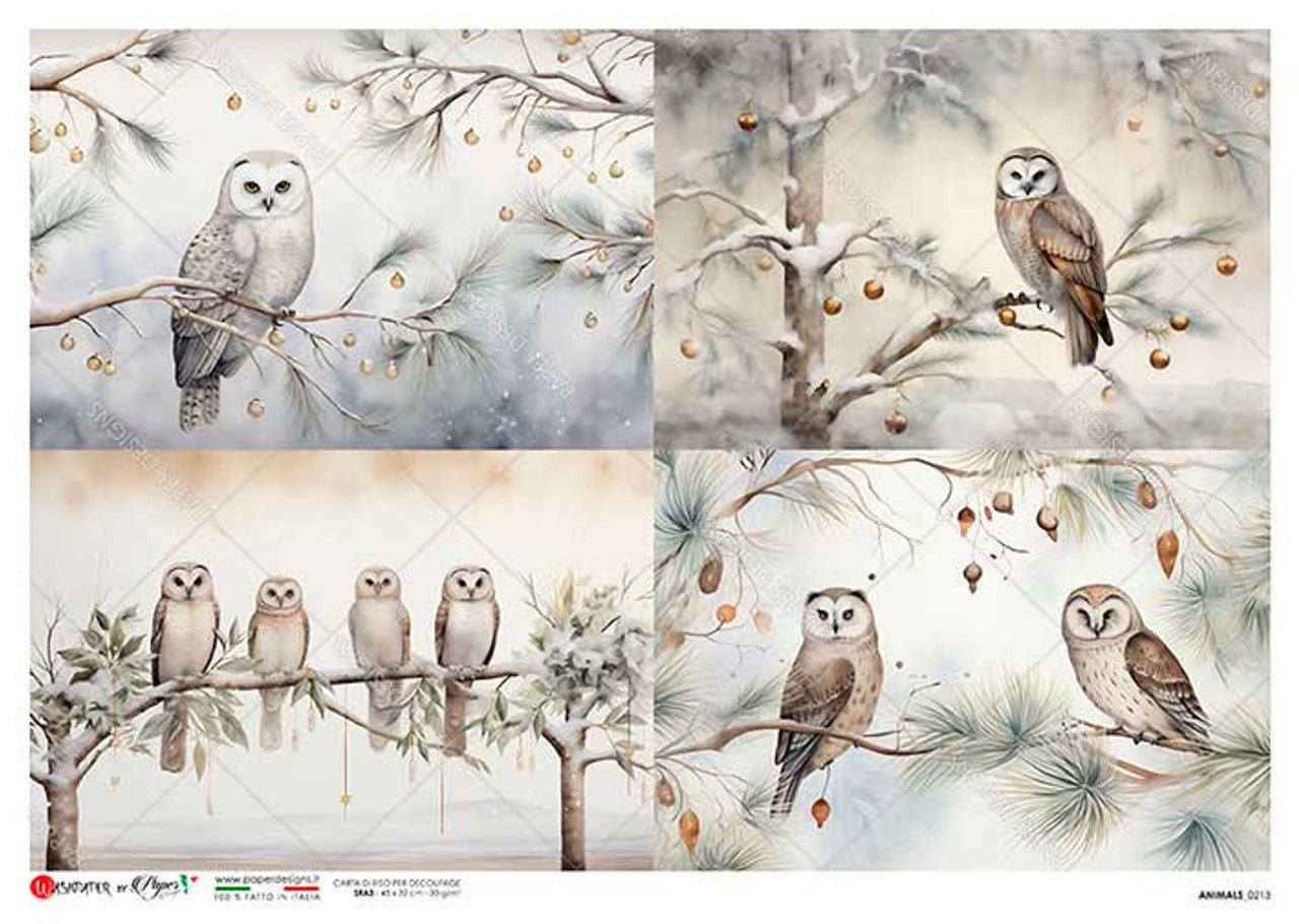Four Owl Scenes | Rice Paper Decoupage | US Paper Designs | Animals 0213 | A4