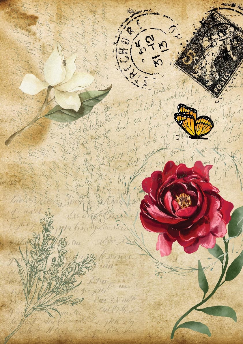 Old Postcard | Rice Paper Decoupage | Belles & Whistles | Dixie Belle Paint | Sizes A3