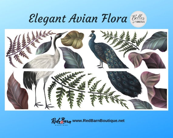 Elegant Avian Flora | Rub On Transfers | Dixie Belle Belles and Whistles | Transfer | 4 Sheets | 6X12