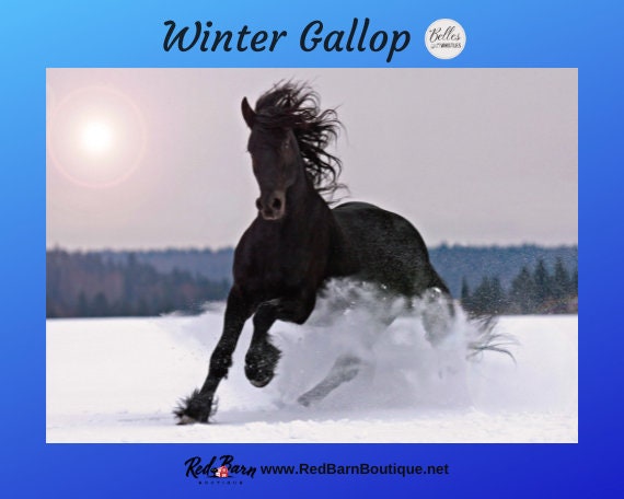 Winter Gallop | Rice Paper Decoupage | Dixie Belle Paint Company | Belles and Whistles | A1 | 23.39" x 33.11"