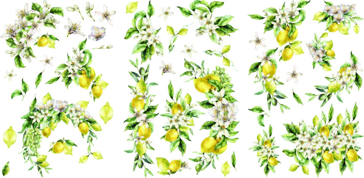 Lemon Zest | Rub On Transfers | Dixie Belle Belles and Whistles | Transfer | 3 Sheets | 8X12
