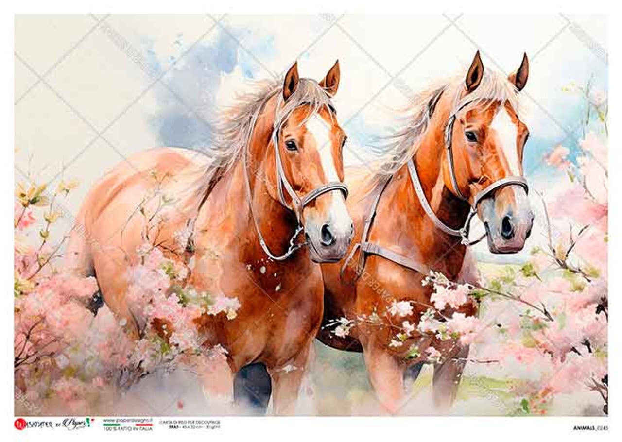 Two Horses In A Flower Field | Rice Paper Decoupage | Paper Designs Animal 0245 | Sizes A4 & A3