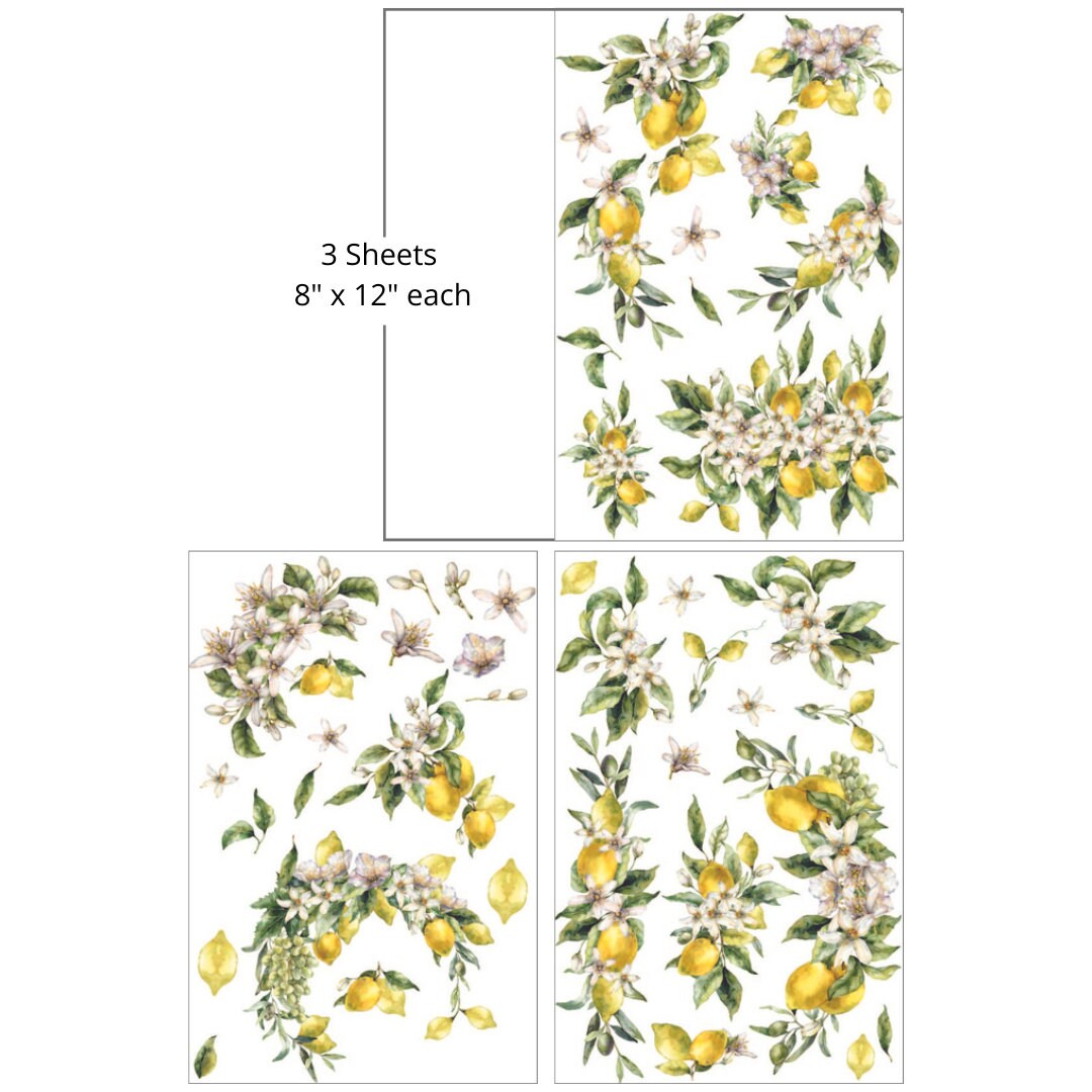 Lemon Zest | Rub On Transfers | Dixie Belle Belles and Whistles | Transfer | 3 Sheets | 8X12