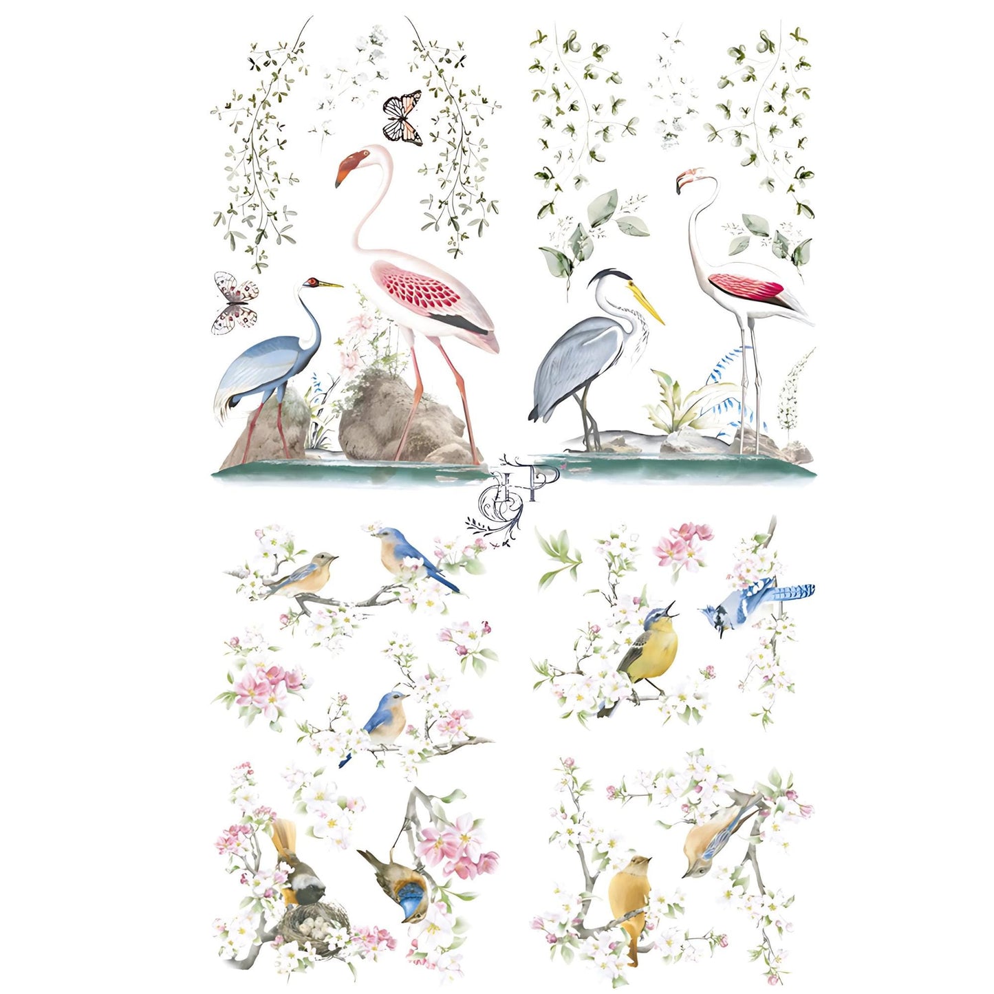 Birds of Paradise 4 Images | Rub On Furniture Transfers | Hokus Pokus | Furniture Decals | 37" x 23.6"