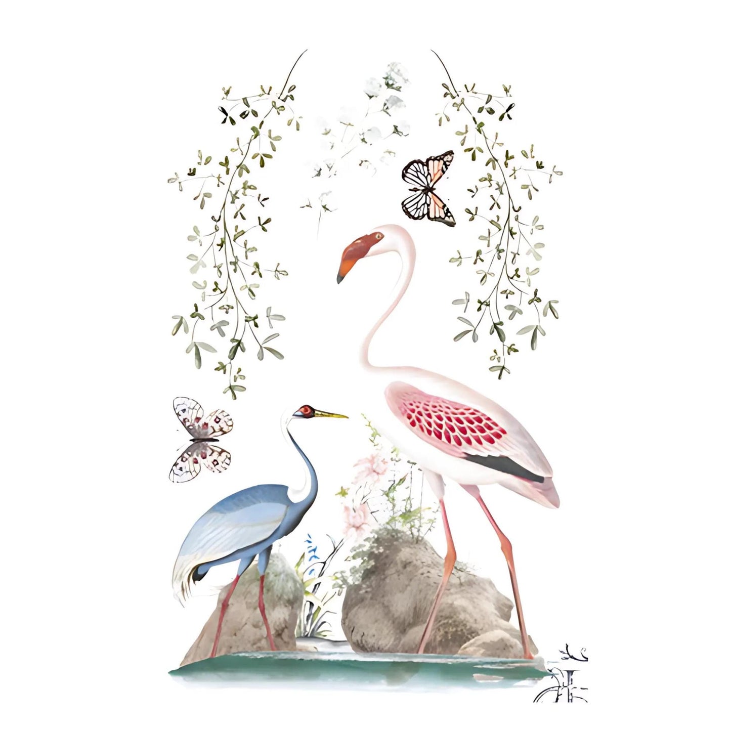 Birds of Paradise 4 Images | Rub On Furniture Transfers | Hokus Pokus | Furniture Decals | 37" x 23.6"