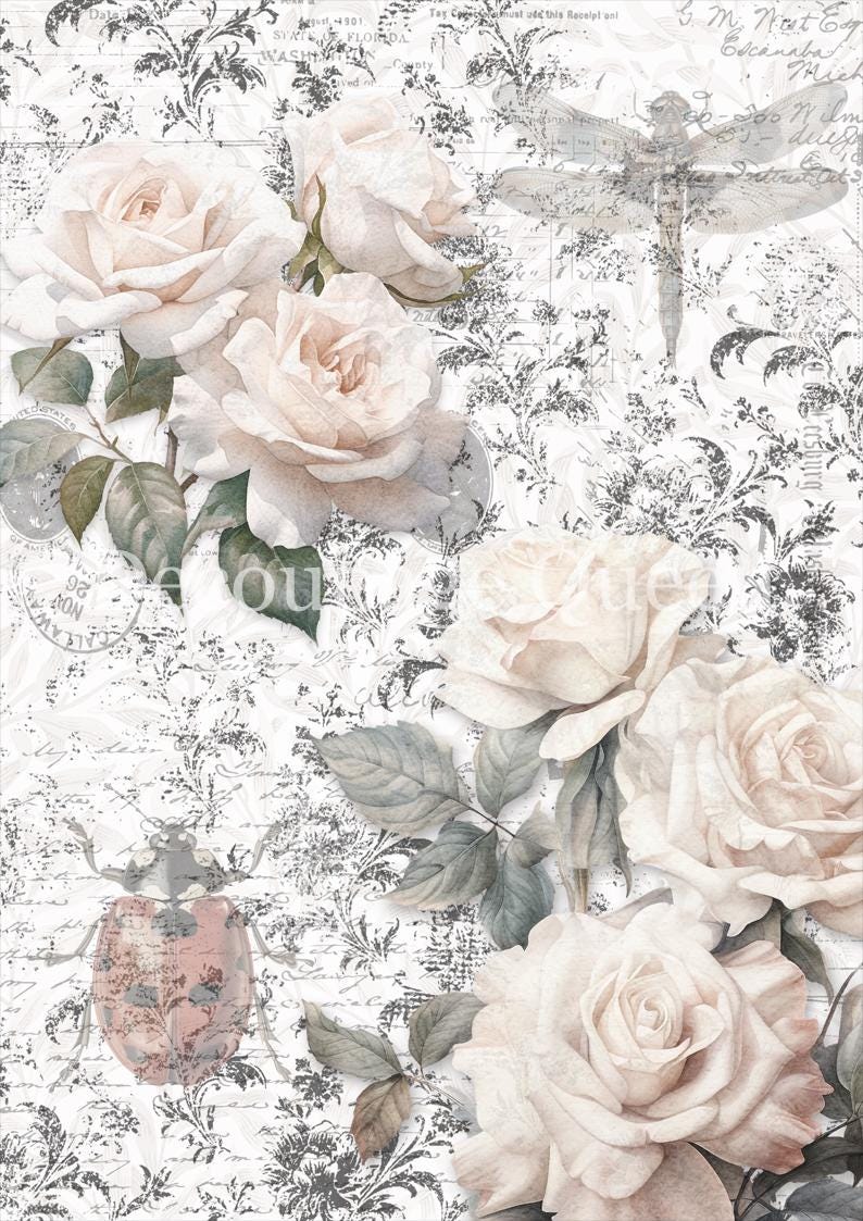 Sketches Background | Rice Paper Decoupage | Designed In The USA | Printed In Italy | Decoupage Queen | Dainty and The Queen | A4