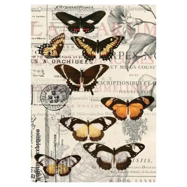 Vintage Butterflies | Tissue Paper Decoupage | Dixie Belle Paint Company | Belles and Whistles | A1 | 23.39" x 33.11"