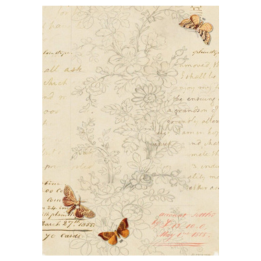September Sketches Harvest Filed snd Fiber Ellen J Goods Rice Paper Decoupage Queen A4