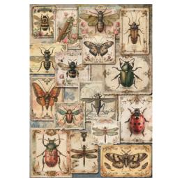 Insects Iveta Ziendina Rice Paper Decoupage Queen A4 A3