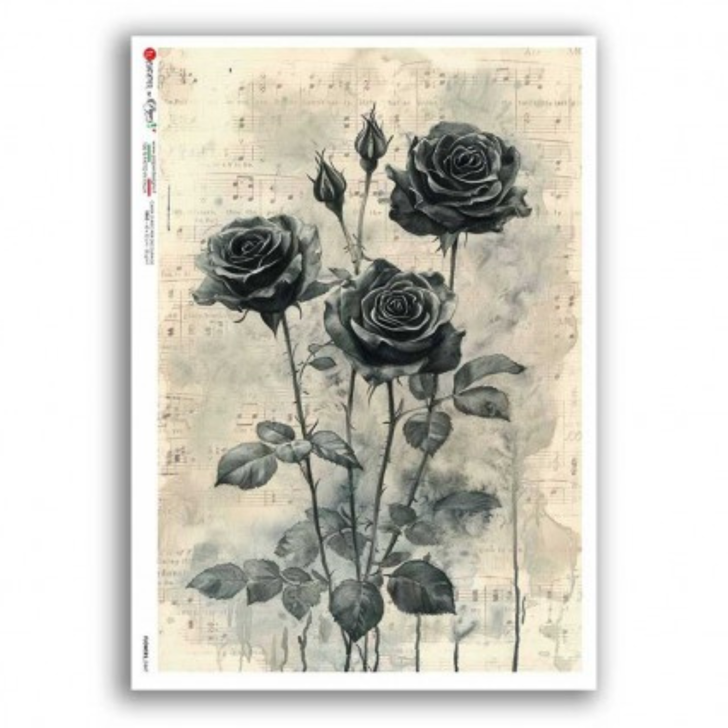 Noctume Roses | Rice Paper Decoupage | Paper Designs Flowers 0447 | A4