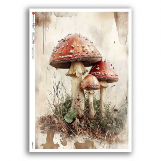 Fly Agaric Mushroom | Rice Paper Decoupage | Paper Designs Food 0177 | A4