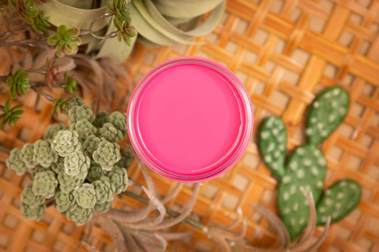 Prickly Pear 4oz | Silk All-In-One Paint | Dixie Belle Paint Company | 4oz