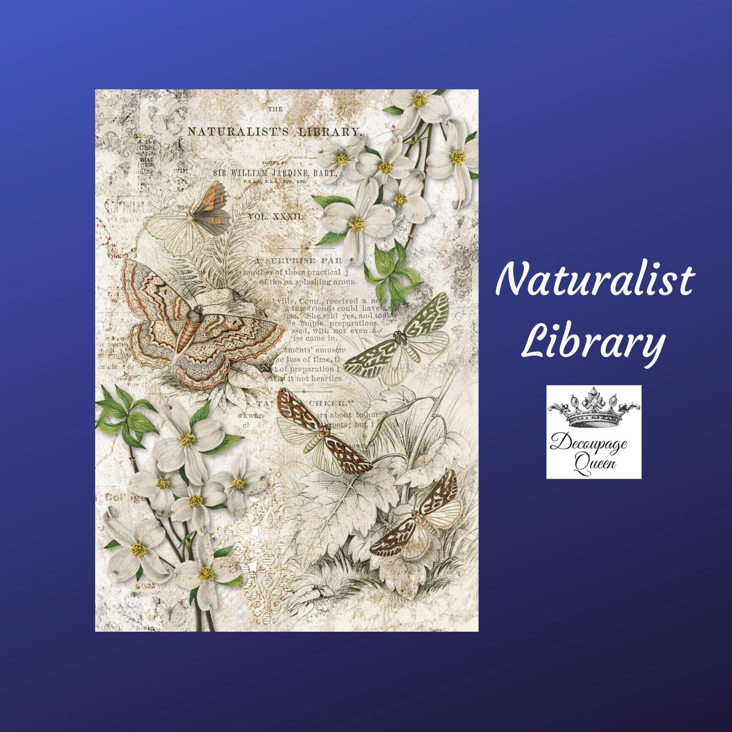 Naturalist Library | Rice Paper Decoupage | Decoupage Queen | 2 sizes