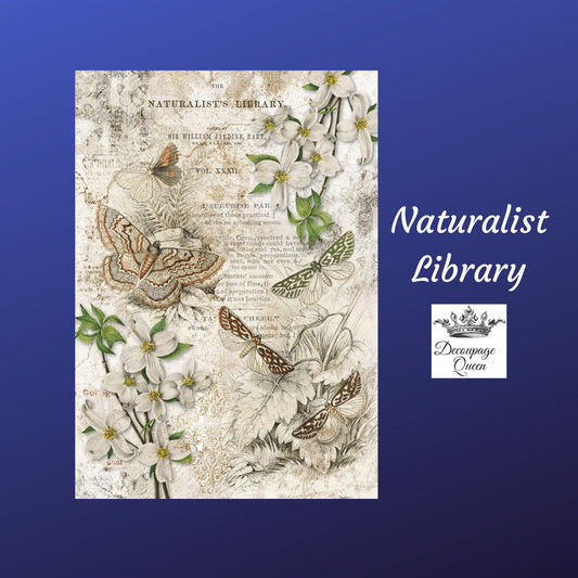 Naturalist Library | Rice Paper Decoupage | Decoupage Queen | 2 sizes