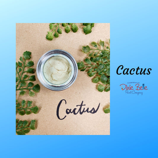 Cactus | Chameleon Wax | Dixie Belle Paint Company