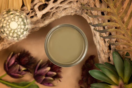 Cactus 4oz | Silk All-In-One Paint | Dixie Belle Paint Company | 4oz