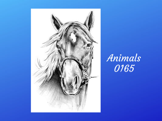 White Sketched Horse | Animal 0165 | Paper Designs | Rice Paper Decoupage | A2 & A1