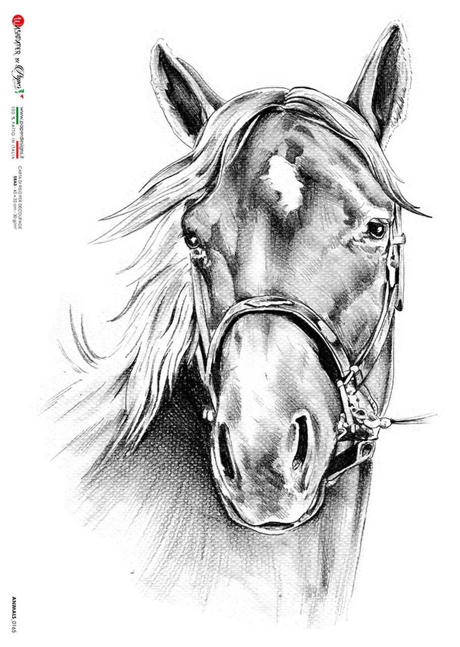 White Sketched Horse | Animal 0165 | Paper Designs | Rice Paper Decoupage | A2 & A1