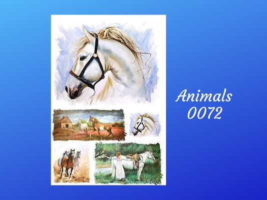 Horse Collage- Animal 0072 | Rice Paper Decoupage | Paper Designs | 2 Sizes