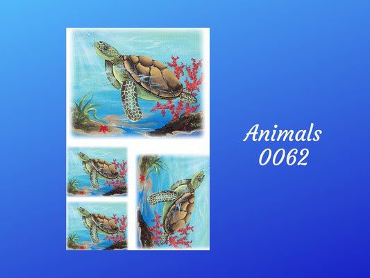 Sea Turtle- Animal 0062  | Paper Designs | Rice Paper Decoupage | 2 Sizes